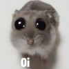 Aleatório 12