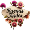 Linda tarde🦋 yoko 8