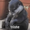 Memes Respuestas 4 11