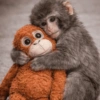🐵 PUNCH EL MONITO 🧸 5