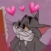 GATINHOS FOFOS 🐈 7