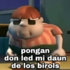 pongan don led mi daun de los birols