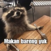 Raccoon Lucu 11