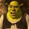 SHREK 8