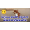 Funny Telugu Stickers 11