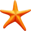 Starfish