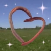 Gusano corazón