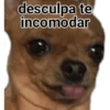 Memes Variados 5