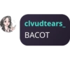 Bubble chat  5