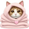 Gato em Capuz Rosa