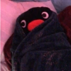 Pinguino random  6