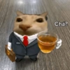Gatos bebidas 🍷🍹 5