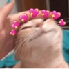 GATOS CHEIOS DE AMOR 💕 8