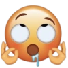 Emoji iphone plenger 🫪 9