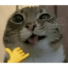 Lol 13