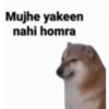 Sukkuu 7