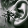 Violín de Oreja