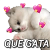 Gatinhos apaixonados 😻✨ 8