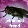 jelou mai frend