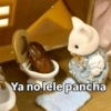 sugariita Ya no lele pancha