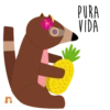 Nomellamo 7