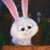 Snowball Rabbit 2 7