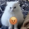 🙄🤬 Enojo - Rabia 😡🤬😤 14