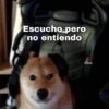 Te servirán para responder😎✨11 13