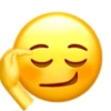 EMOJI IPHONE SYENTIL 13