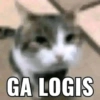 GA LOGIS