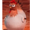 Animais fofinhos  8