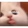 Meow 25