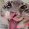 Реакция на мем в TikTok 8
