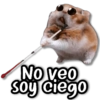 No veo soy ciego