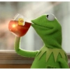Kermit the frog 17