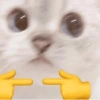 Cat by : Ling Ling 💜 29