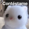 Contéstame