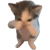 Memes de gatos 2 12