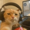 Gamer Cat