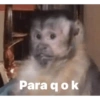 Mono meme 6