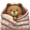 Urso Aconchegante