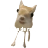 Aleatório 11