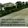 Olaa 17