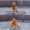 Fenomenler 8