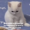 💫 Ramdon triste 😢2❣️ 17
