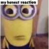 My honest reaction 13