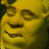 SHREK 5