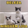 MEMES ATUALIZADOS  6