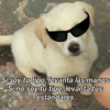 Memes Respuestas 4 8