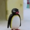 Pingu 14